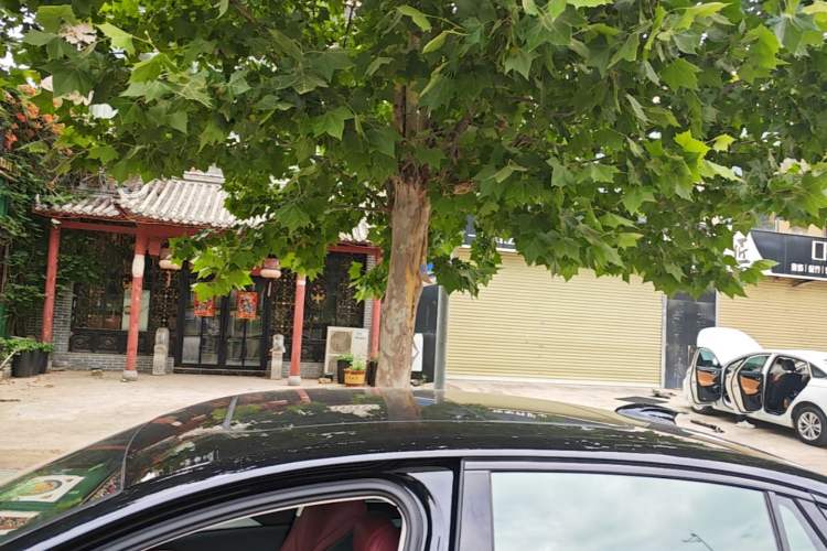 Used Hongqi H5 2025 2.0T Automatic Xuan Ying Edition Roof