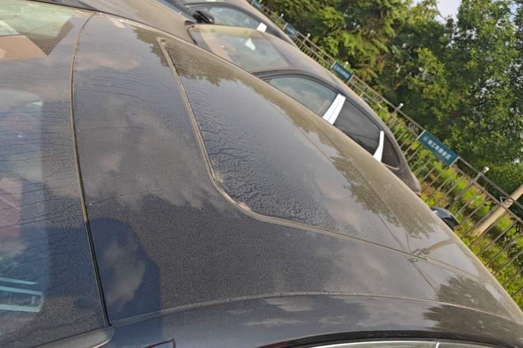 Used Hongqi H5 2025 2.0T Automatic Flag Edition – 500 000 Units Commemorative Version Roof