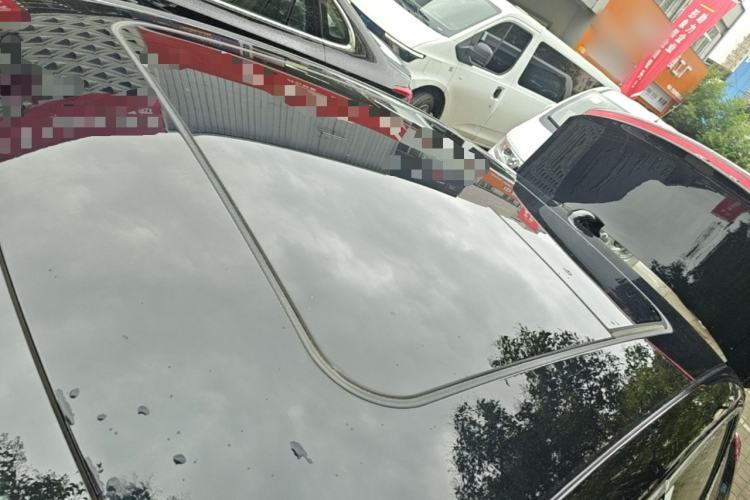 Used Hongqi H5 2025 2.0T Automatic Flag Edition – 500 000 Units Commemorative Version Roof