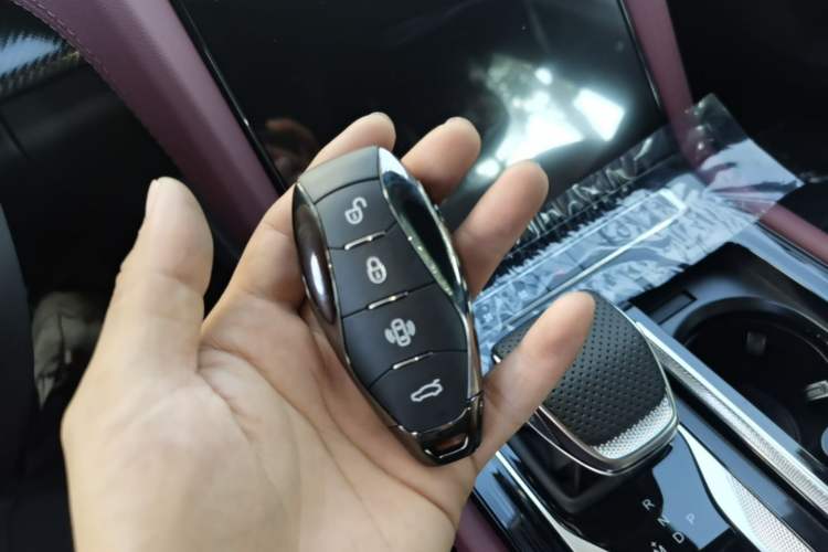 Used Hongqi H5 2025 Model 2.0T Automatic Xuan Ying 2 Million Units Commemorative Edition Vehicle Key