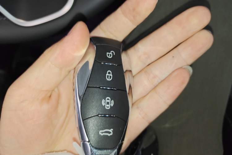 Used Hongqi H5 2025 2.0T Automatic Flagship 500 000th Unit Anniversary Edition Vehicle Key
