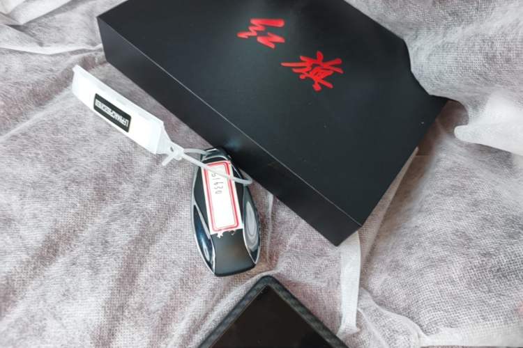 Used Hongqi H5 2025 2.0T Automatic Flag Edition – 500 000 Units Commemorative Version Vehicle Key