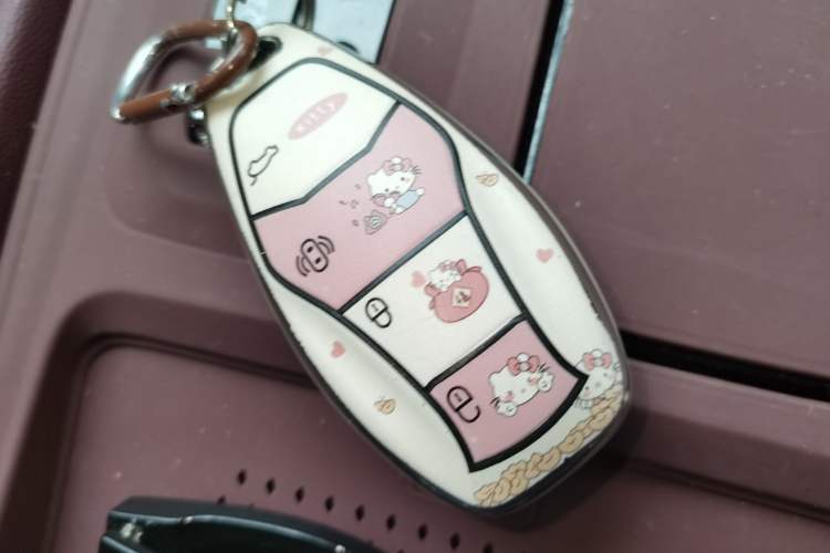Used Hongqi H5 2025 2.0T Automatic Flag Edition – 500 000 Units Commemorative Version Vehicle Key