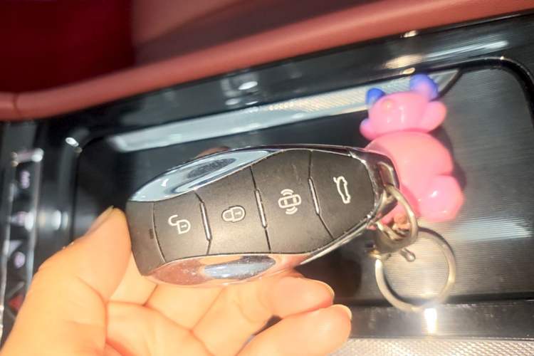 Used Hongqi H5 2025 2.0T Automatic Flag Edition – 500 000 Units Commemorative Version Vehicle Key