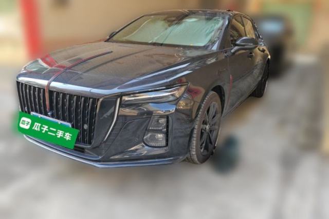 Hongqi H5 2025 2.0T Automatic Flag Edition – 500 000 Units Commemorative Version usado