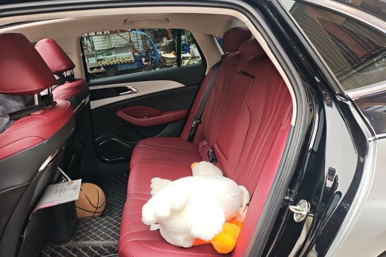 Used Hongqi H5 2025 2.0T Automatic Flag Edition – 500 000 Units Commemorative Version Left Rear Seat