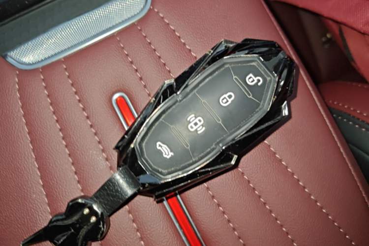 Used Hongqi H5 2025 2.0T Automatic Flag Edition – 500 000 Units Commemorative Version Vehicle Key