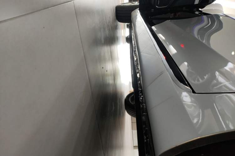 Used Hongqi H5 2025 2.0T Automatic Flag Edition – 500 000 Units Commemorative Version Left Side Sill