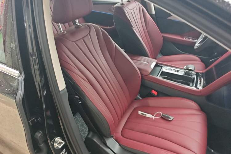 Used Hongqi H5 2025 2.0T Automatic Flag Edition – 500 000 Units Commemorative Version Right Front Seat