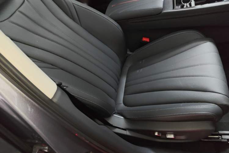 Used Hongqi H5 2025 2.0T Automatic Flag Edition – 500 000 Units Commemorative Version Right Front Seat