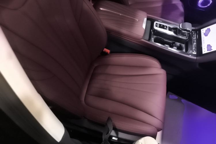 Used Hongqi H5 PHEV 2025 130 Super Hybrid Version Right Front Seat