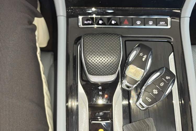 Used Hongqi H5 PHEV 2025 170 Super Hybrid Version Gear Lever