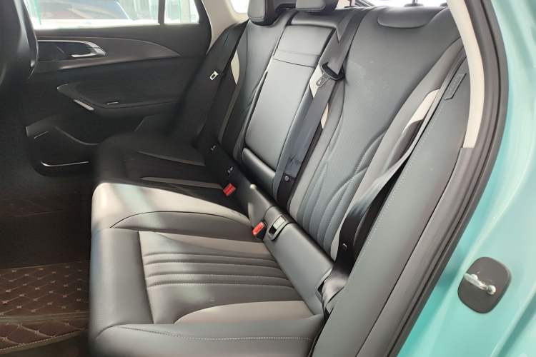 Used Hongqi H6 2023 2.0T ZhiMei Edition Left Rear Seat