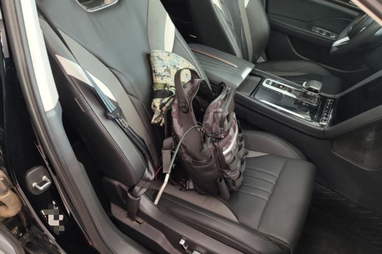 Used Hongqi H6 2023 2.0T ZhiMei Edition Right Front Seat