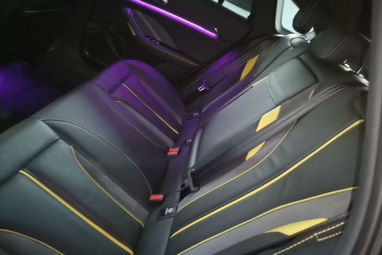 Used Hongqi H6 2023 2.0T ZhiZhen Edition Left Rear Seat