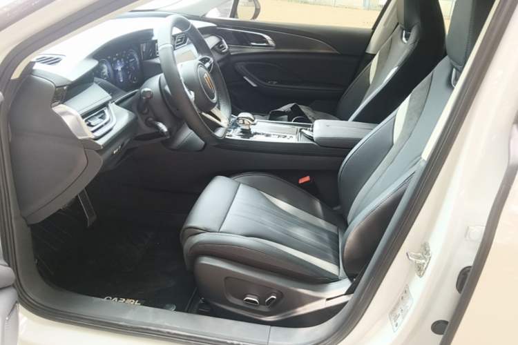 Used Hongqi H6 2023 2.0T ZhiMei Edition Left Front Seat