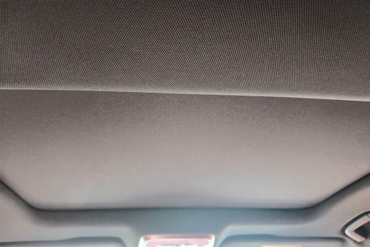 Used Hongqi H6 2023 2.0T ZhiZhen Edition Headliner