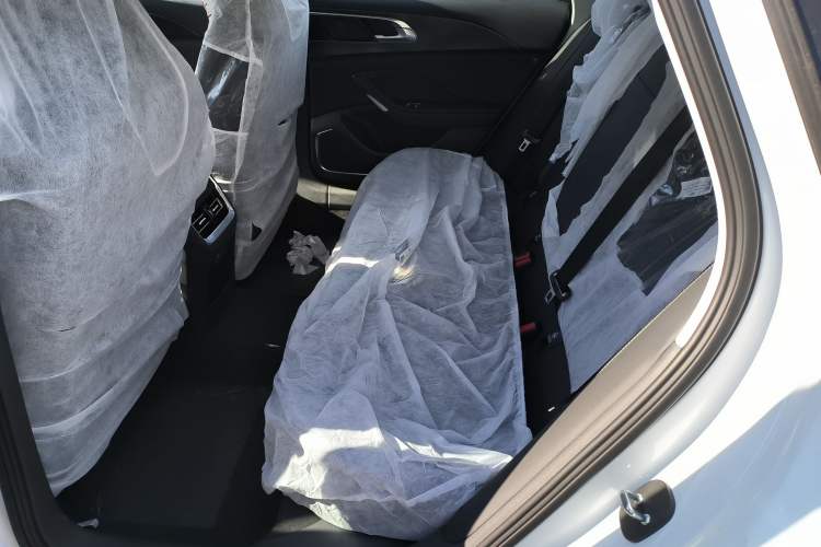 Used Hongqi H6 2023 2.0T ZhiMei Edition Left Rear Seat