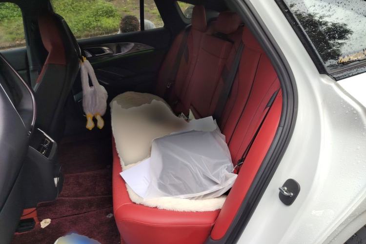 Used Hongqi H6 2023 2.0T ZhiShang Version Left Rear Seat