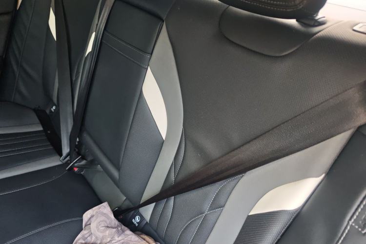 Used Hongqi H6 2023 2.0T ZhiMei Edition Left Rear Seat