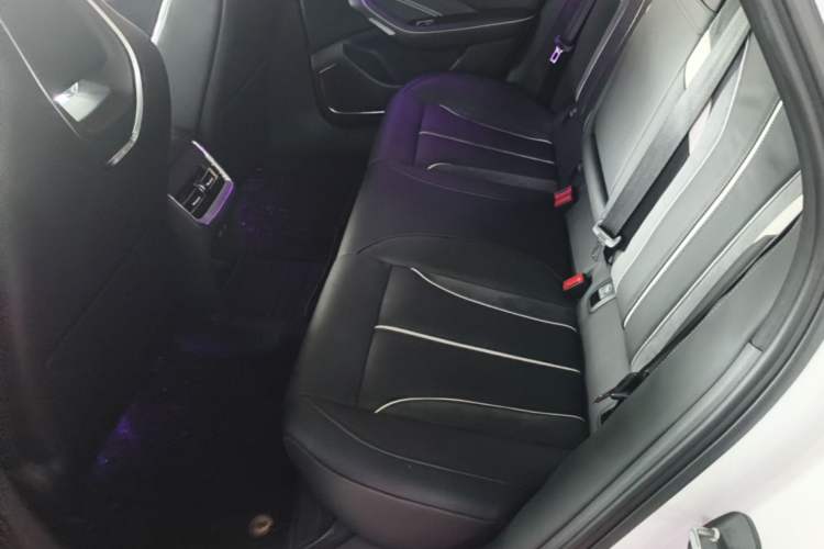 Used Hongqi H6 2023 2.0T ZhiShang Version Left Rear Seat