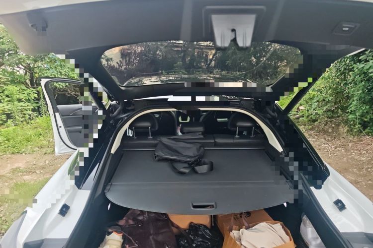 Used Hongqi H6 2023 2.0T ZhiMei Edition Trunk