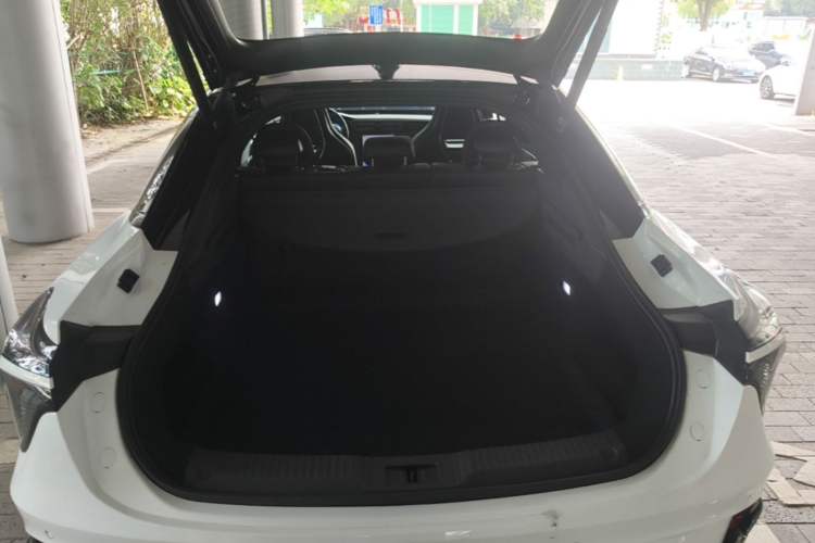 Used Hongqi H6 2023 2.0T ZhiShang Version Trunk