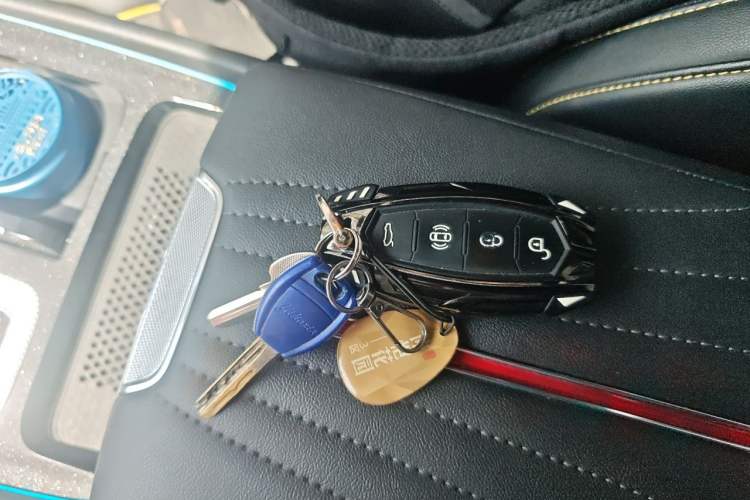 Used Hongqi H6 2023 2.0T ZhiShang Version Vehicle Key