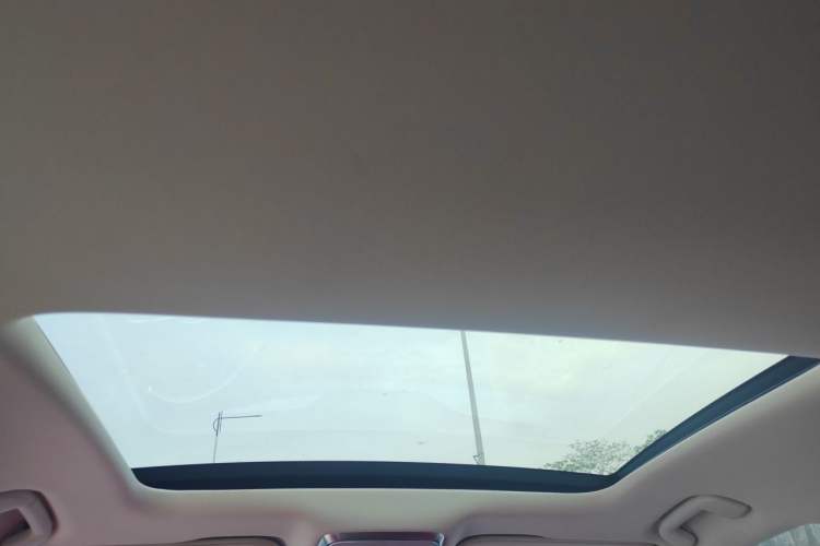 Used Hongqi H6 2024 2.0T ZhiMei Edition Headliner