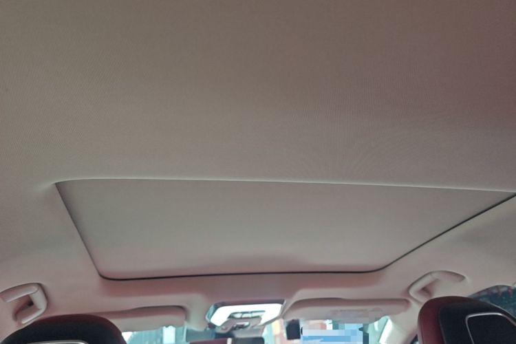 Used Hongqi H6 2024 2.0T ZhiMei Edition Headliner