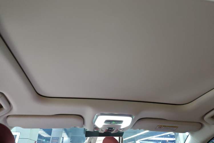 Used Hongqi H6 2024 2.0T ZhiMei Edition Headliner