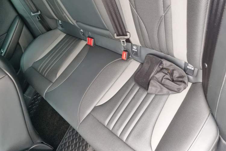 Used Hongqi H6 2024 2.0T ZhiMei Edition Left Rear Seat