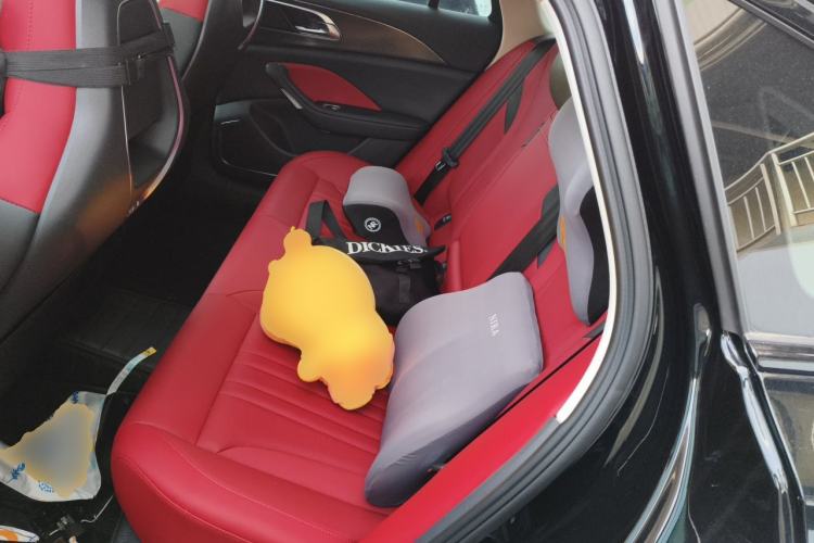 Used Hongqi H6 2024 2.0T ZhiMei Edition Left Rear Seat