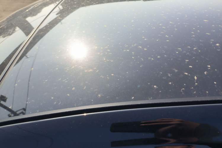 Used Hongqi H6 2024 2.0T ZhiMei Edition Roof
