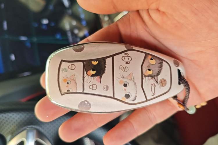 Used Hongqi H6 2024 2.0T ZhiMei Edition Vehicle Key