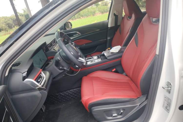 Used Hongqi H6 2024 2.0T ZhiMei Edition Left Front Seat