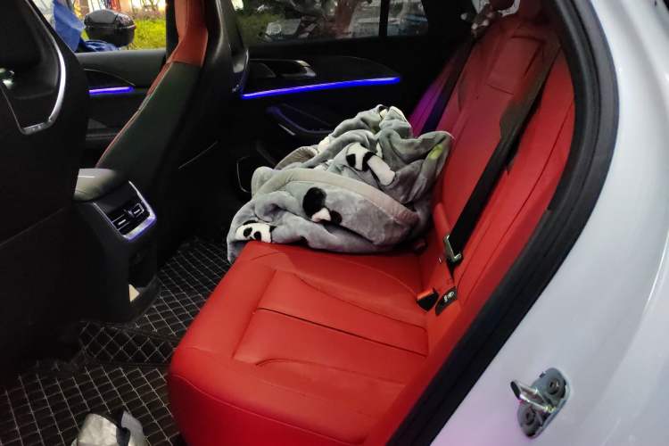 Used Hongqi H6 2024 2.0T ZhiShang Version Left Rear Seat