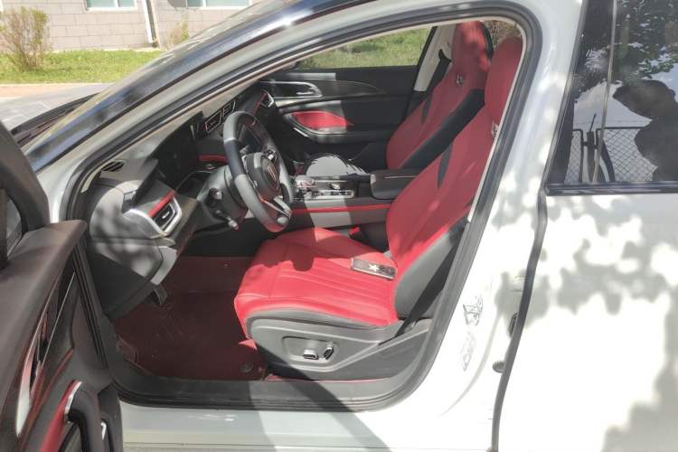 Used Hongqi H6 2024 2.0T ZhiMei Edition Left Front Seat