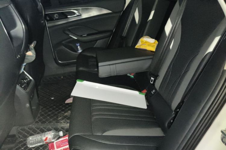 Used Hongqi H6 2024 2.0T ZhiMei Edition Left Rear Seat