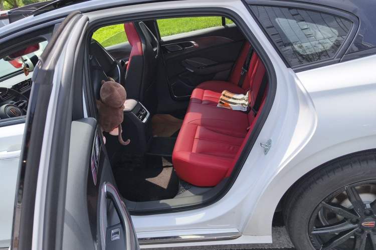 Used Hongqi H6 2024 2.0T ZhiShang Version Left Rear Seat