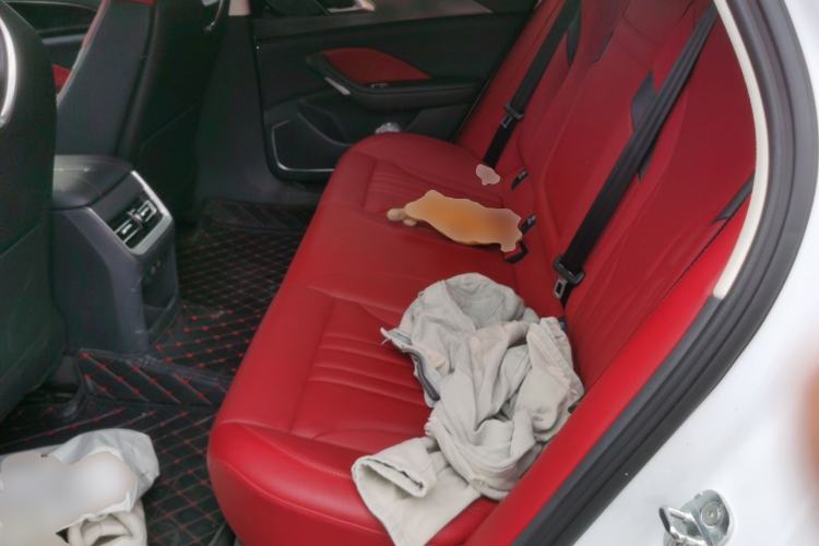 Used Hongqi H6 2024 2.0T ZhiMei Edition Left Rear Seat