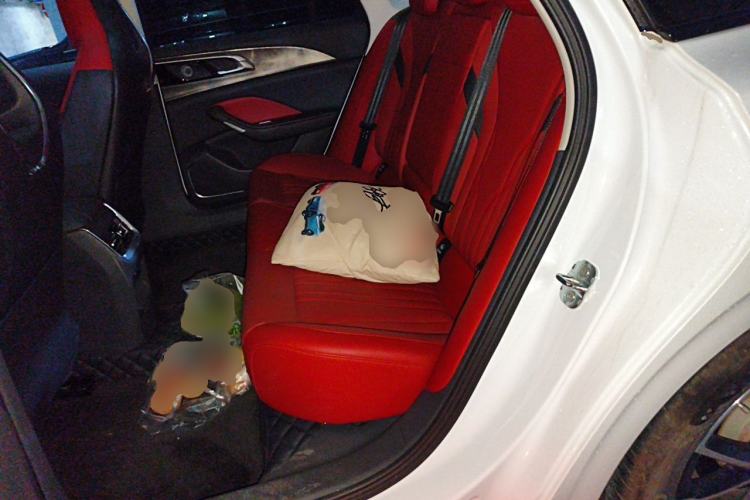 Used Hongqi H6 2024 2.0T ZhiMei Edition Left Rear Seat