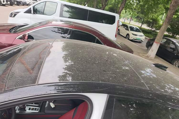 Used Hongqi H6 2024 2.0T ZhiShang Version Roof