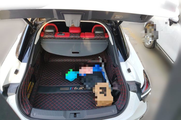 Used Hongqi H6 2024 2.0T ZhiMei Edition Trunk