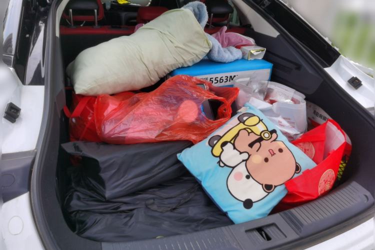 Used Hongqi H6 2024 2.0T ZhiMei Edition Trunk