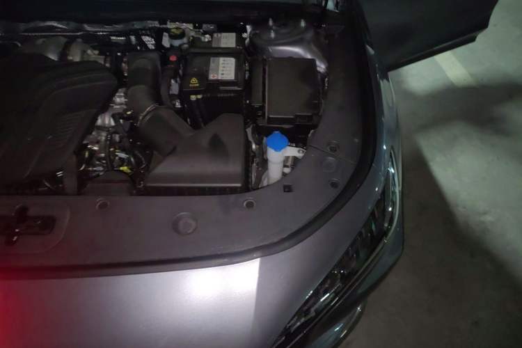 Used Hongqi H6 2025 2.0T ZhiZhen Edition Engine Bay Left
