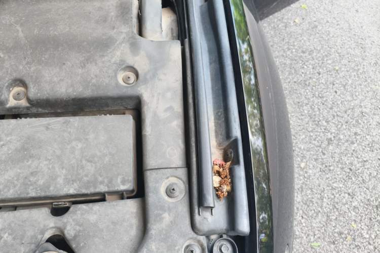 Used Hongqi H7  Engine Bay Left