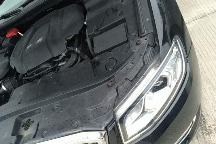 Used Hongqi H7 2018 2.0T Elite Edition Engine Bay Left