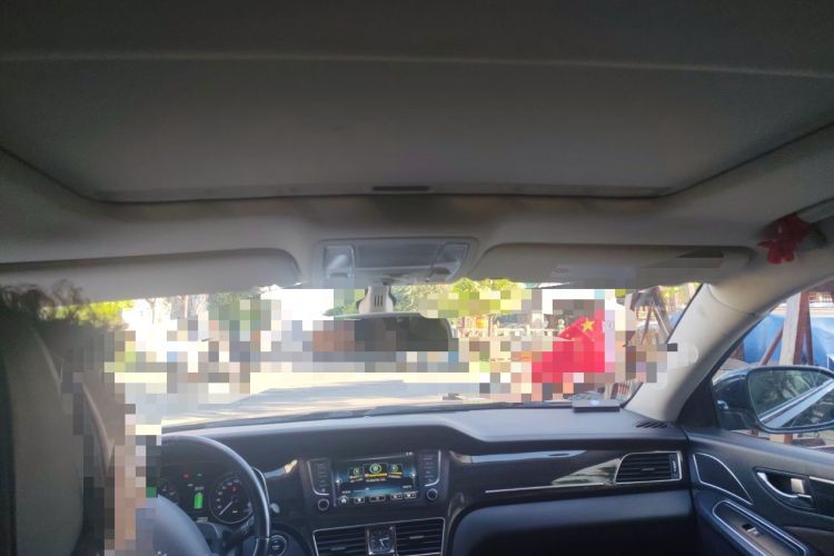 Used Hongqi H7  Headliner