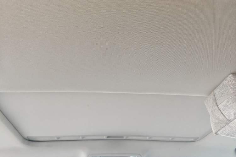 Used Hongqi H7 2018 2.0T 60th Anniversary Edition Headliner